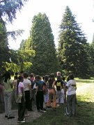 PICT1162 (web)